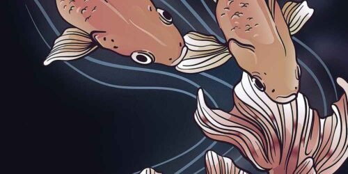 hyanibold.wpbromo.com