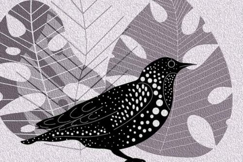 hyanibold.wpbromo.com