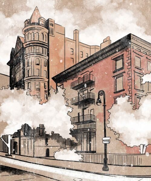 hyanibold.wpbromo.com