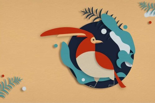 hyanibold.wpbromo.com