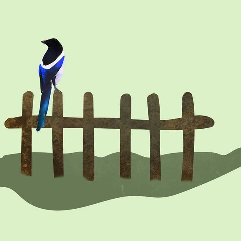 Single Best Song - Image 2