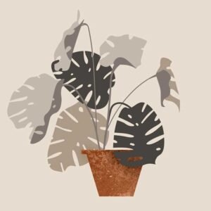 Shirt Pearl Cream for Men