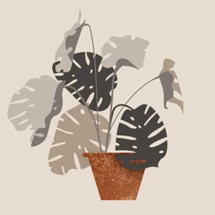 hyanibold.wpbromo.com