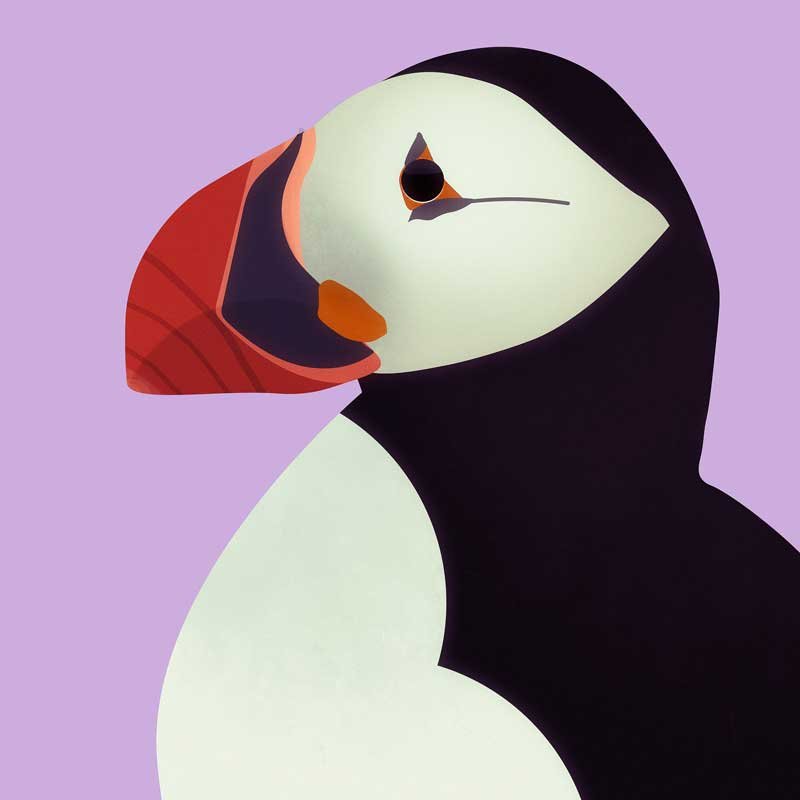 Adventurer DarkBoo - Image 3