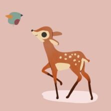 hyanibold.wpbromo.com