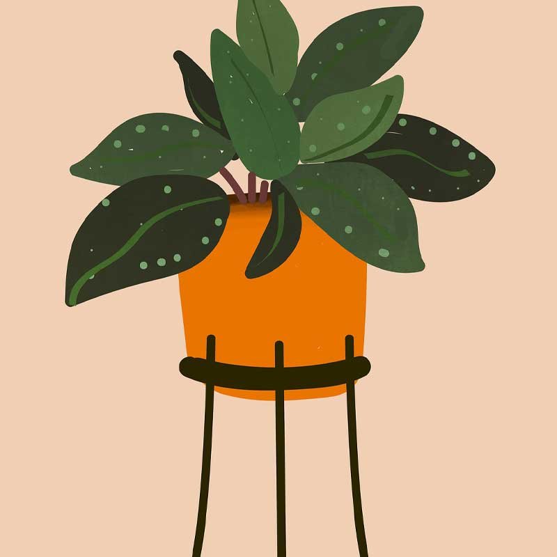 Single Best Song - Image 4