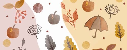 hyanibold.wpbromo.com