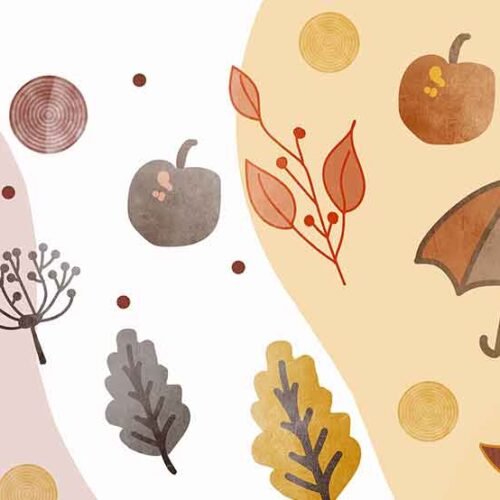 hyanibold.wpbromo.com