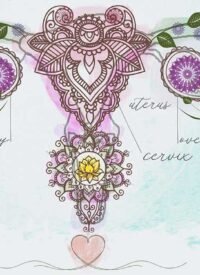 hyanibold.wpbromo.com