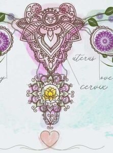 hyanibold.wpbromo.com