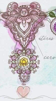 hyanibold.wpbromo.com